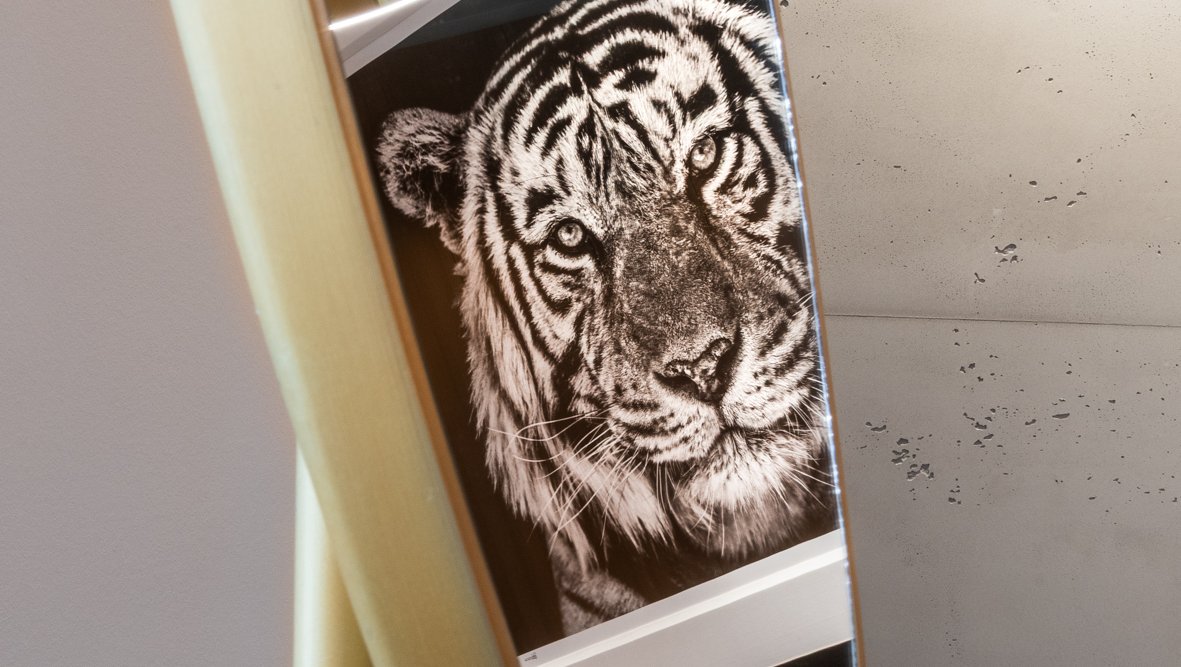 150739_2025-04-15-Bearbeitet